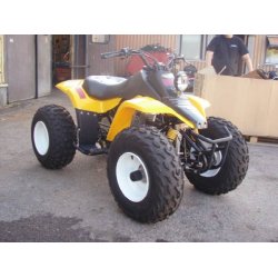 SKJOLDST KAZUMA DINGO GUL